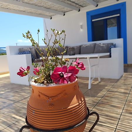 Nautilus Beach House Paradisi  Luaran gambar