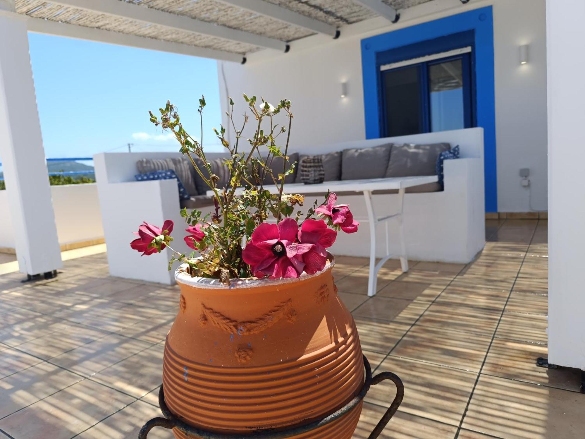 Nautilus Beach House Paradisi  Luaran gambar